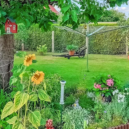 Bellin * 웨케문데